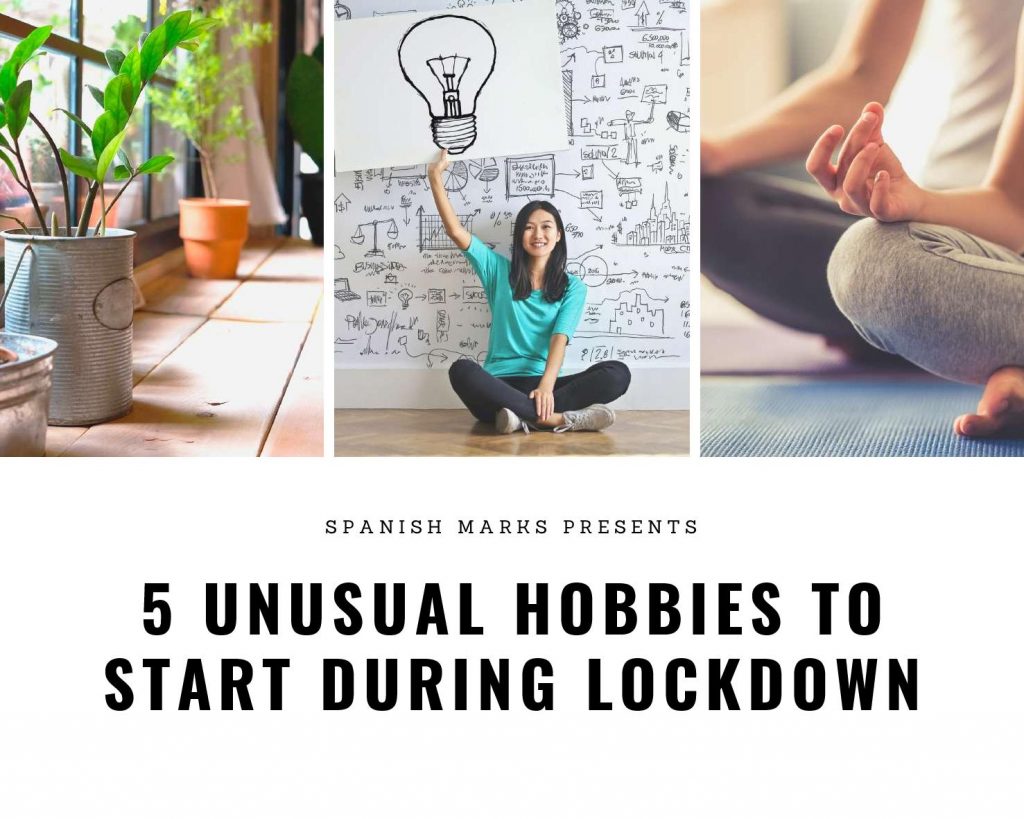 5 Unusual Hobbies to start during Lockdown